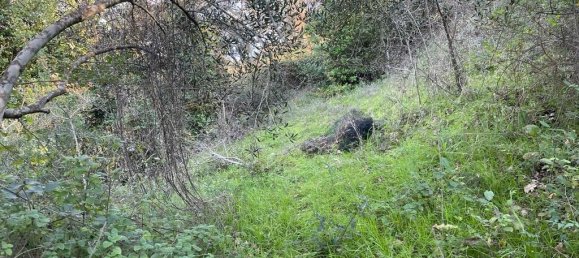 11029m² Hotel in Corfu, Greece No. 2572 15