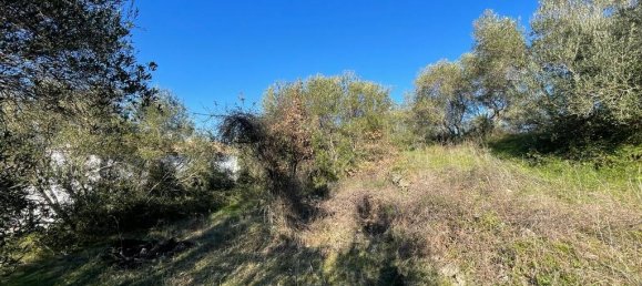 11029m² Hotel in Corfu, Greece No. 2572 5