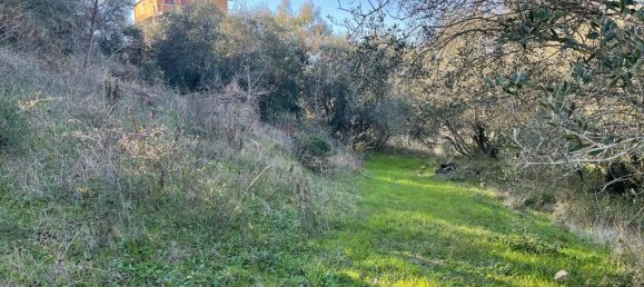 14529m² Hotel in Corfu, Greece No. 2572 7