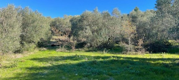 14529m² Hotel in Corfu, Greece No. 2572 26