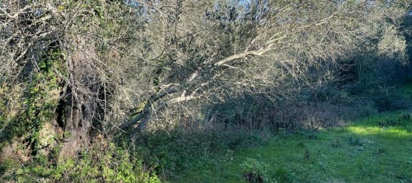 11029m² Hotel in Corfu, Greece No. 2572 12