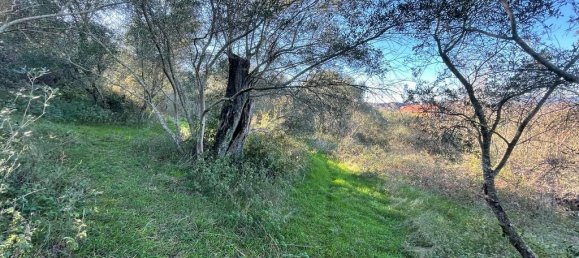 14529m² Hotel in Corfu, Greece No. 2572 6