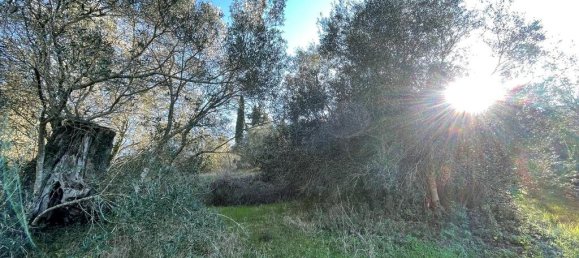 14529m² Hotel in Corfu, Greece No. 2572 11