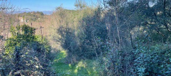 11029m² Hotel in Corfu, Greece No. 2572 17