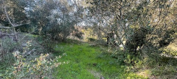 11029m² Hotel in Corfu, Greece No. 2572 10