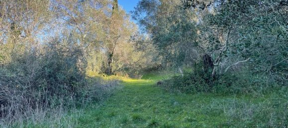 11029m² Hotel in Corfu, Greece No. 2572 18