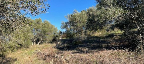 14529m² Hotel in Corfu, Greece No. 2572 28