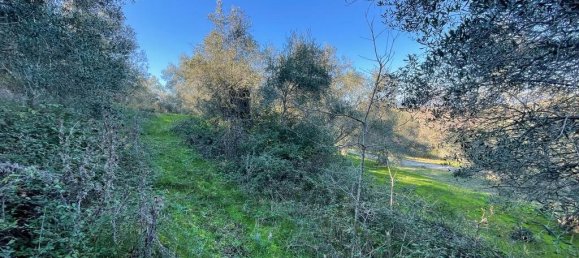 14529m² Hotel in Corfu, Greece No. 2572 14