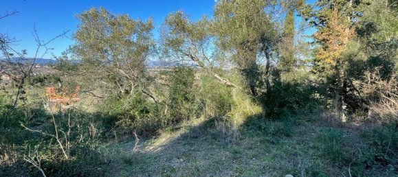 14529m² Hotel in Corfu, Greece No. 2572 22