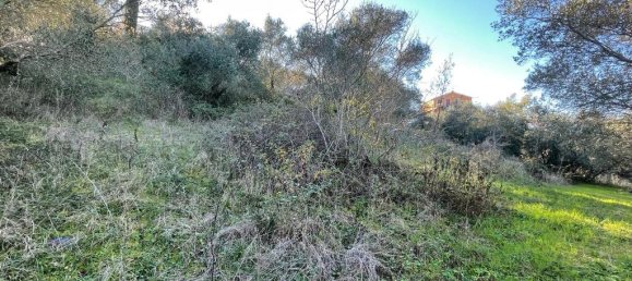 14529m² Hotel in Corfu, Greece No. 2572 13