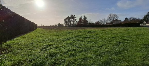 Land in Ars, France No. 113326 2