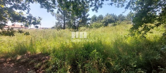 Terreno en Viana do Castelo, Portugal 8227 m² No. 78516 24