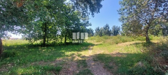 Terreno en Viana do Castelo, Portugal 8227 m² No. 78516 16