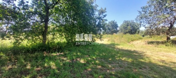 Terreno en Viana do Castelo, Portugal 8227 m² No. 78516 14