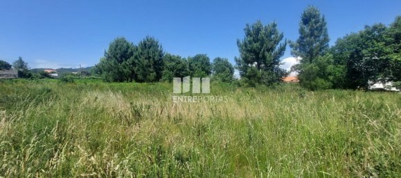 Terreno en Viana do Castelo, Portugal 8227 m² No. 78516 4