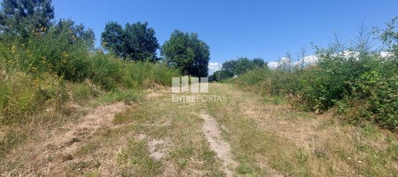 Terreno en Viana do Castelo, Portugal 8227 m² No. 78516 28