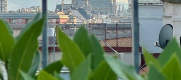 4-Zimmer Doppelhaus in Leopoldstadt, Austria, Nr. 130311 23