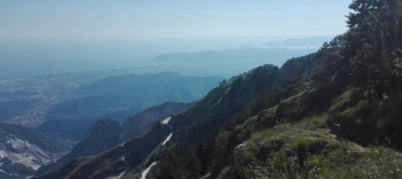 8-Zimmer Haus in Carrara, Italy, Nr. 41623 19