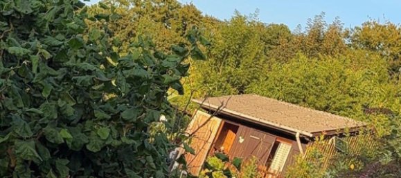 Grundstück in Wuppertal, Germany, Nr. 333242 2