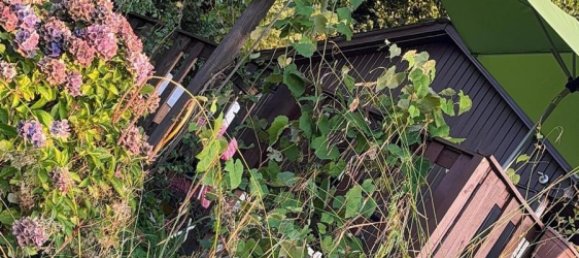 Grundstück in Wuppertal, Germany, Nr. 333242 8