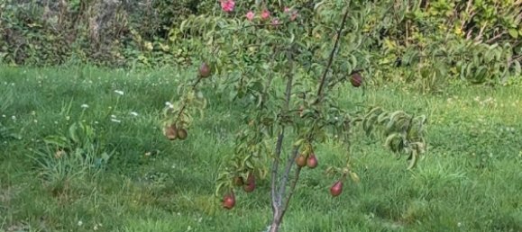 Grundstück in Wuppertal, Germany, Nr. 333242 3