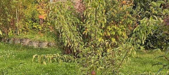 Grundstück in Wuppertal, Germany, Nr. 333242 5