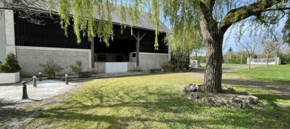 Propriété commerciale à Saint-Avertin, France 765m² No. 300279 14