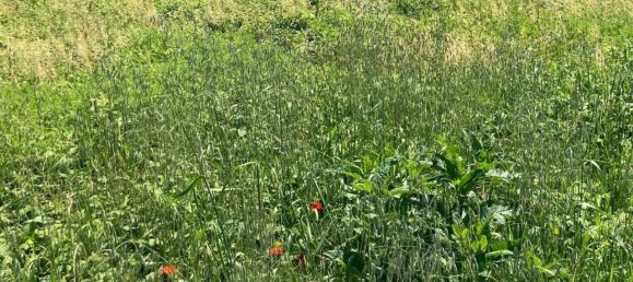 600m² Land in Pontoglio, Italy No. 82707 16