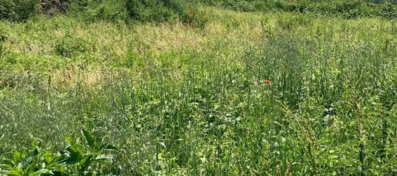 600m² Land in Pontoglio, Italy No. 82707 4