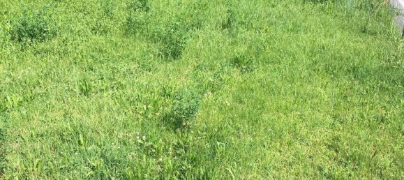 600m² Land in Pontoglio, Italy No. 82707 20