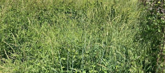 600m² Land in Pontoglio, Italy No. 82707 3