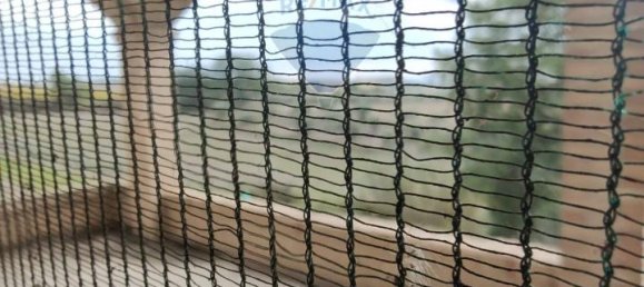 6-Zimmer Haus in Città Sant'Angelo, Italy, Nr. 68100 23