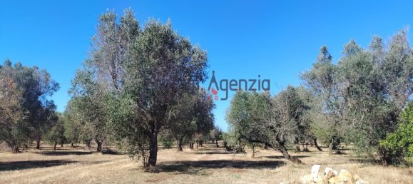 3 Schlafzimmer Gewerbliche Immobilie in Ceglie Messapica, Italy, Nr. 352170 14