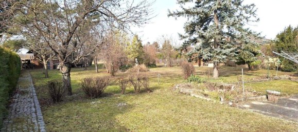 6-Zimmer Haus in Seefeld-Kadolz, Austria, Nr. 171621 5