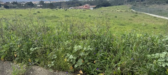 قطعة أرض في Sintra, Portugal 5002متر مربع رقم 161464 15