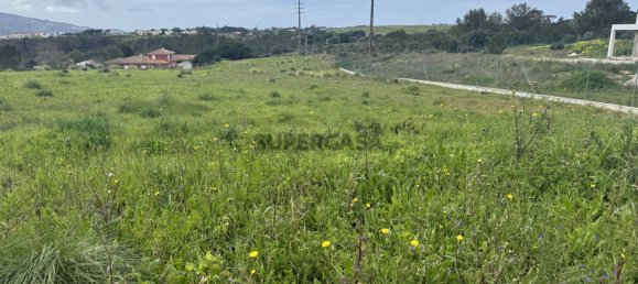 قطعة أرض في Sintra, Portugal 5002متر مربع رقم 161464 9