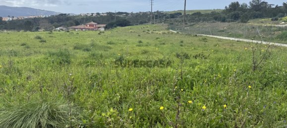 قطعة أرض في Sintra, Portugal 5002متر مربع رقم 161464 12