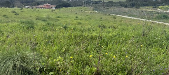 قطعة أرض في Sintra, Portugal 5002متر مربع رقم 161464 8