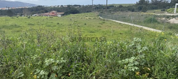 قطعة أرض في Sintra, Portugal 5002متر مربع رقم 161464 14