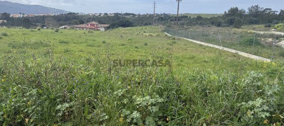 قطعة أرض في Sintra, Portugal 5002متر مربع رقم 161464 19