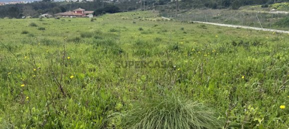 قطعة أرض في Sintra, Portugal 5002متر مربع رقم 161464 4