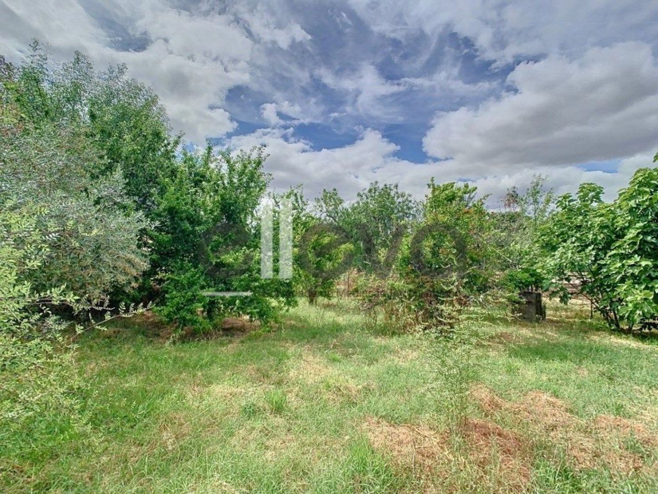 Grundstück in Alcains, Portugal, Nr. 333727