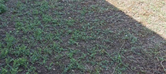  Land in Bauladu, Italy No. 325957 5