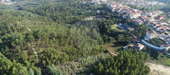 503m² Warehouse in Coimbra, Portugal No. 67368 17