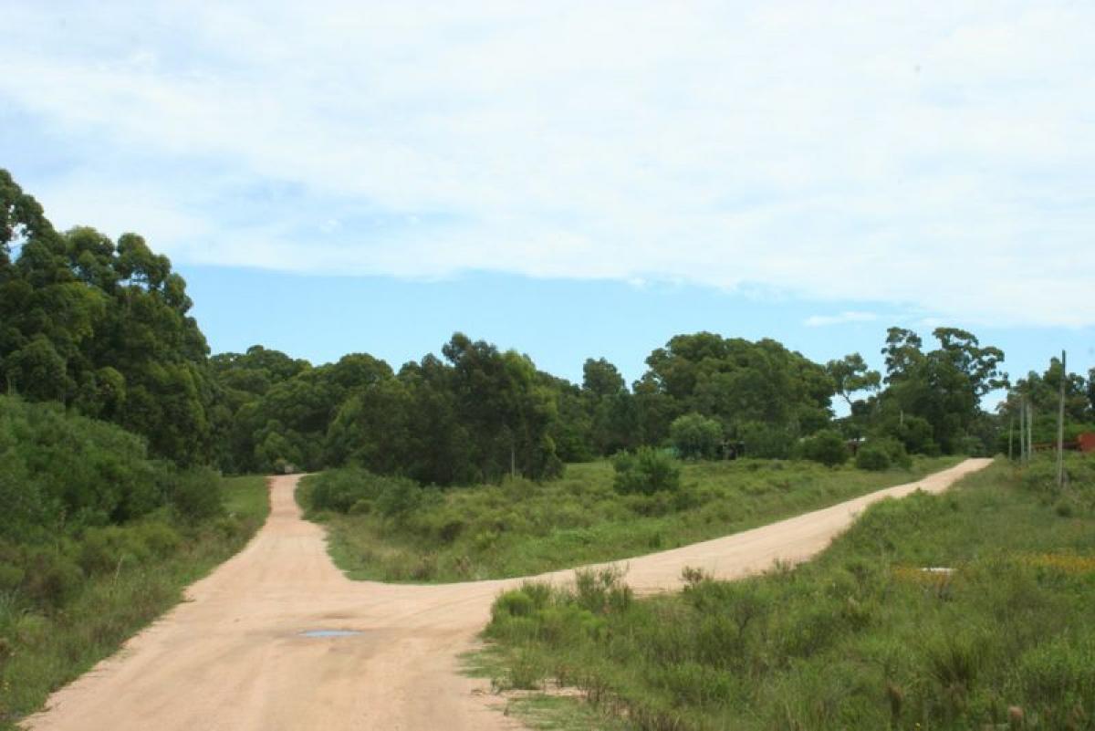 Grundstück in Maldonado, Uruguay, Nr. 14545