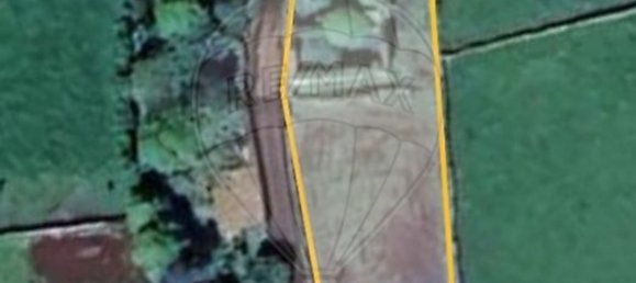 Studio in Vila de Sao Sebastiao, Portugal No. 21169 5