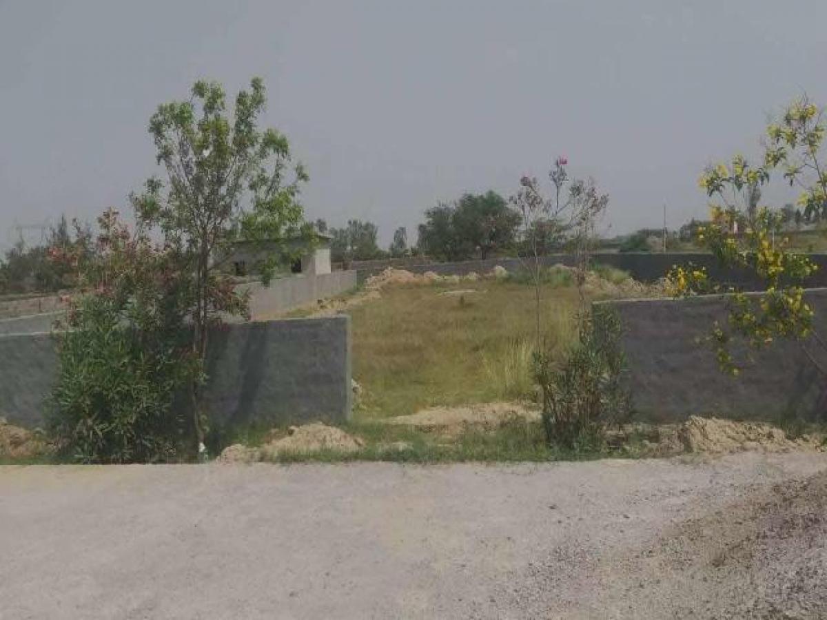  Land in Ghaziabad, India No. 32709