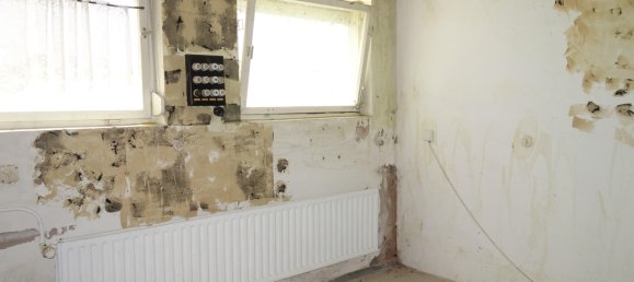 6 bedrooms House in Schwarzwald-Baar-Kreis, Germany No. 3531 22