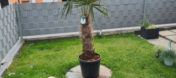 4 chambres Maison à Schwabach, Germany No. 116358 10