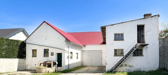 5-salle Maison à Gollersdorf, Austria No. 187753 20